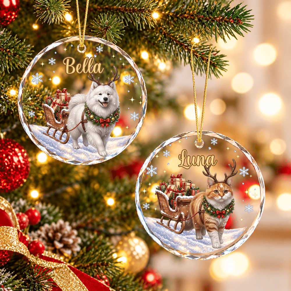 Decorazione natalizia in vetro personalizzata con foto del proprio animale domestico dipinta ad acquerello e nome, decorazione per l'albero di Natale: regalo di Natale e Capodanno per i proprietari di animali domestici e gli amanti degli animali 2