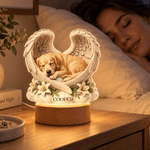 Personalized Angel Wings Pet Photo Acrylic LED Night Light with Wooden Base and Name Home Decor Memorial Gift for Pet Owners Lovers