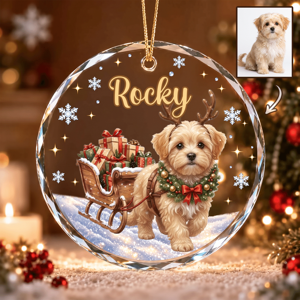 Decorazione natalizia in vetro personalizzata con foto del proprio animale domestico dipinta ad acquerello e nome, decorazione per l'albero di Natale: regalo di Natale e Capodanno per i proprietari di animali domestici e gli amanti degli animali 1