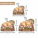 Personalisierte Haustier Gedenktafel aus Echtholz | mit Namen & Datum | Tischdeko in 3D-Optik | Beileidsgeschenk für Hundebesitzer & Katzenfreunde 8