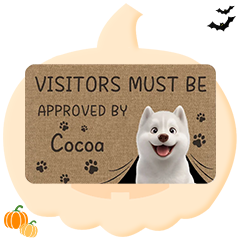 For Pet Lovers