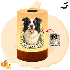 For Pet Lovers