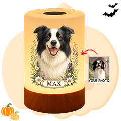 For Pet Lovers