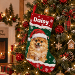 Personalized Christmas Theme Oil Painting Pet Photo Christmas Stocking with Name Home Decoration Christmas Gift for Pet Owners