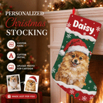 Personalized Christmas Theme Oil Painting Pet Photo Christmas Stocking with Name Home Decoration Christmas Gift for Pet Owners