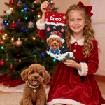 Personalized Christmas Theme Oil Painting Pet Photo Christmas Stocking with Name Home Decoration Christmas Gift for Pet Owners