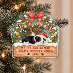 Personalised My 1st Christmas Pet Photo Design Acrylic Ornament with Name and Year Christmas Tree Decor Christmas Gift for Pet Owners Lovers 2