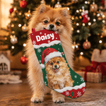 Personalized Christmas Theme Oil Painting Pet Photo Christmas Stocking with Name Home Decoration Christmas Gift for Pet Owners