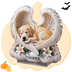 Memorial Gifts