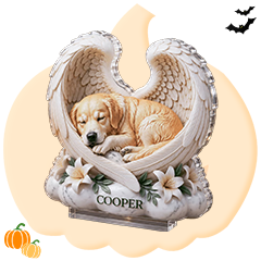 Memorial Gifts