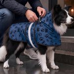 Personalized Cute Paw Print Water-resistant Pet Raincoat with Name Daily Pet Care Birthday Gift for Dog Owner Lover