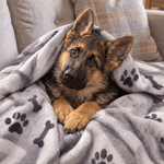 Personalized Oil Painting Style Pet Photo Soft Throw Blanket with Name Home Decor Birthday Christmas Gift for Dog Cat Pet Owner Lover 5