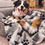 Personalized Oil Painting Style Pet Photo Soft Throw Blanket with Name Home Decor Birthday Christmas Gift for Dog Cat Pet Owner Lover 7