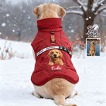Personalised 3D-Effect Artwork Pet Photo Adjustable Dog Winter Coat Jacket with Name Outdoor Activities Christmas Gift for Pet Owners 1