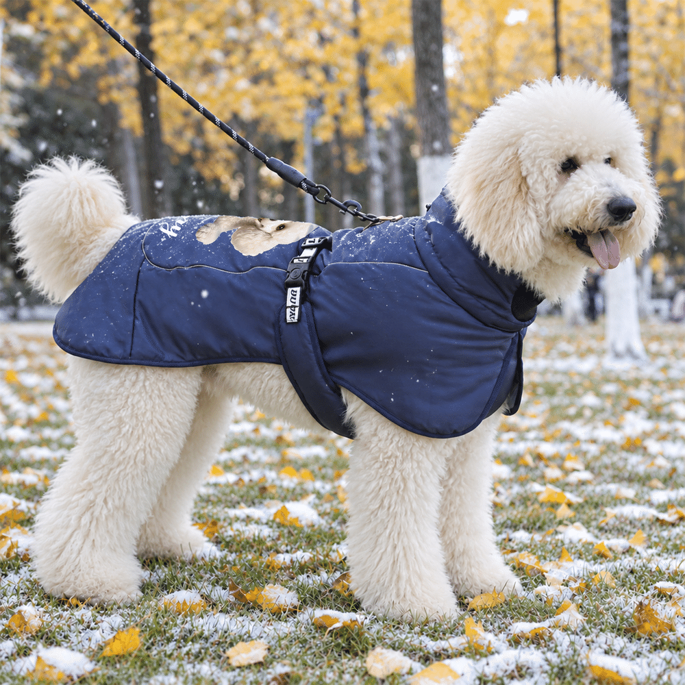 Personalised 3D-Effect Artwork Pet Photo Adjustable Dog Winter Coat Jacket with Name Outdoor Activities Christmas Gift for Pet Owners 4