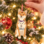 Décoration de Noël en bois personnalisée avec photo de chien en dessin animé et prénom, à suspendre – Cadeau de Noël pour les propriétaires de chiens et les amoureux des animaux 9