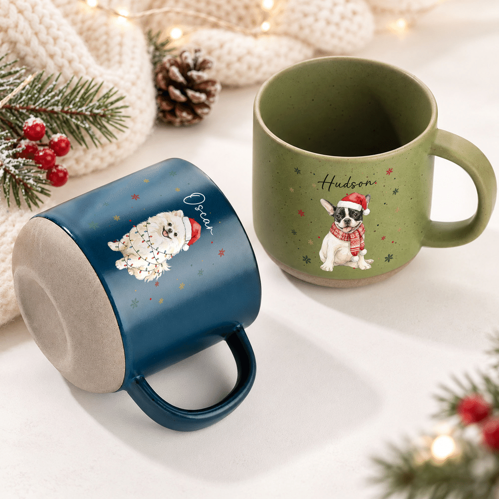 Gepersonaliseerde sjaal met lichtslingers, keramische koffiemok met foto van huisdier en naam – voor dagelijks gebruik, kerstcadeau voor huisdiereigenaren, liefhebbers en vrienden 5