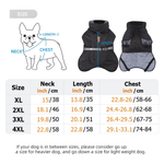Personalised 3D-Effect Artwork Pet Photo Adjustable Dog Winter Coat Jacket with Name Outdoor Activities Christmas Gift for Pet Owners 8