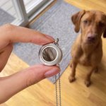 Personalized Dainty Pet Hair Urn Ashes Necklace with Text Pet Loss Pet Party Gift for Pet Owners 8