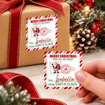 Personalized Santa Claus Special Delivery Postmark Style Stickers with Name Gift Decor Christmas Gift for Kids Family 4