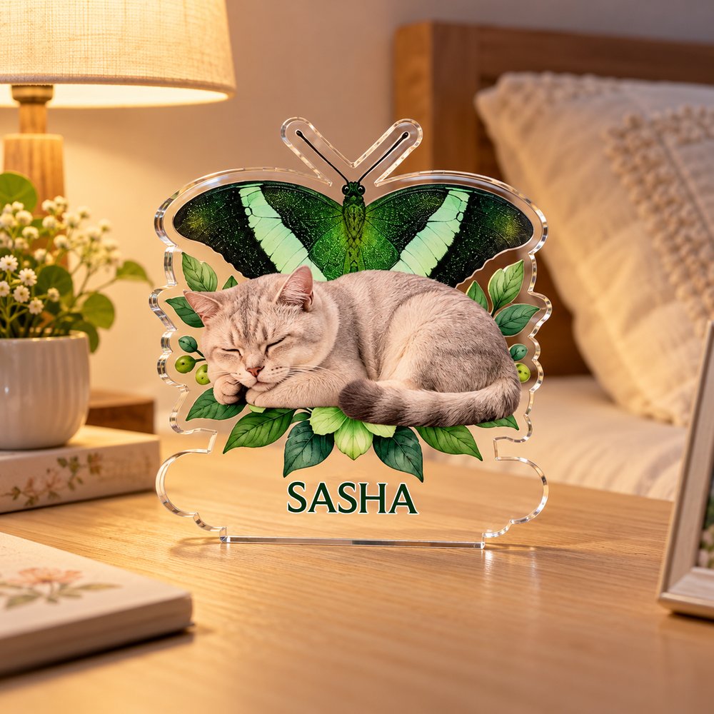 Personalized Birth Butterfly Floral Sleep Pet Photo Acrylic Ornament with Name Loss of Pet Sympathy Memorial Gift for Pet Owners 6