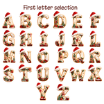 Pegatinas personalizadas para el árbol de Navidad con gorro de Papá Noel, copos de nieve e iniciales, con nombre y año. Decoración para regalos y fiestas navideñas. Regalo para niños, familiares y amigos. 6