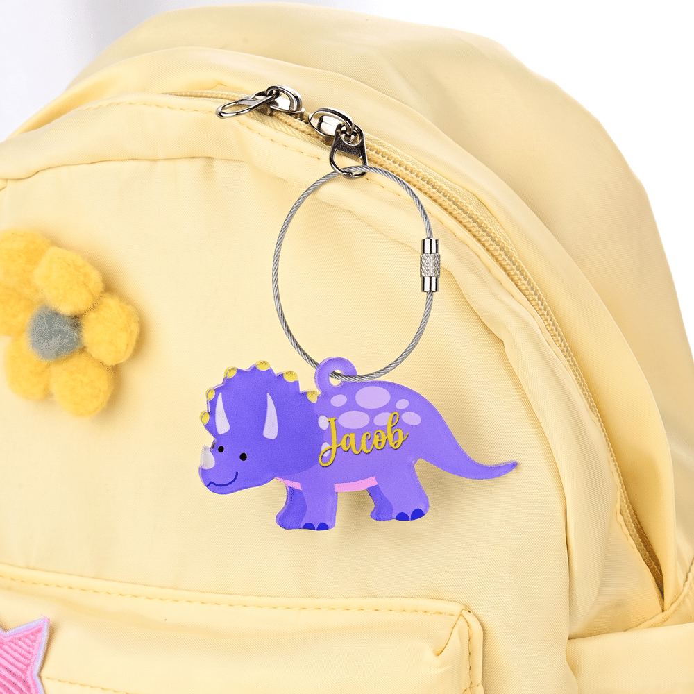 Personalized Multicolour Cartoon Dinosaur Acrylic Keychain with Name and Wire Rope Christmas Birthday Gift for Kids Dinosaur Enthusiasts 5