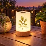 Personalised Gold-Edged Birth Flower Dimmable Touch LED Night Light with Name and Adjustable Colors Birthday Christmas Gift for Woman New Mum 3