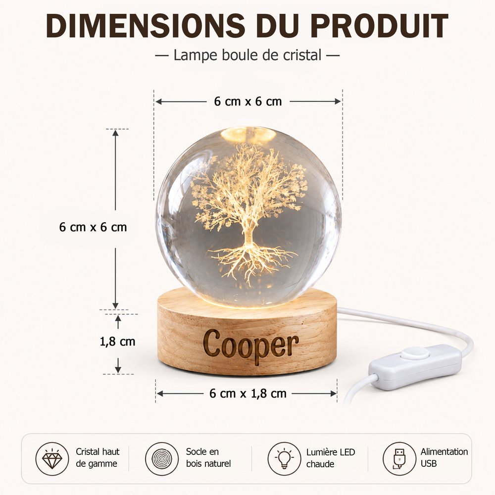 Veilleuse boule de cristal personnalisée avec nom et style - Gravure 3D LED socle en bois - Cadeau d'anniversaire pour enfants et amis 9