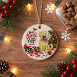 Personalized Cute Naughty Mischievous Pet Photo Ceramic Ornament with Name Pet Party Tree Decor Christmas Gift for Pet Owner 2