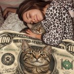 Personalized US Dollar Bill Pet Photo Soft Throw Pet Blanket with Name and Date Home Decor Christmas Birthday Gift for Pet Owner 5
