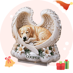 For Pet Lovers