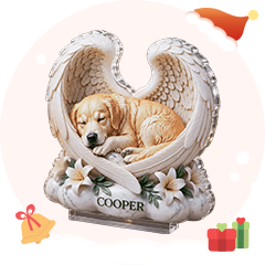 For Pet Lovers