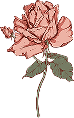 Rose - June